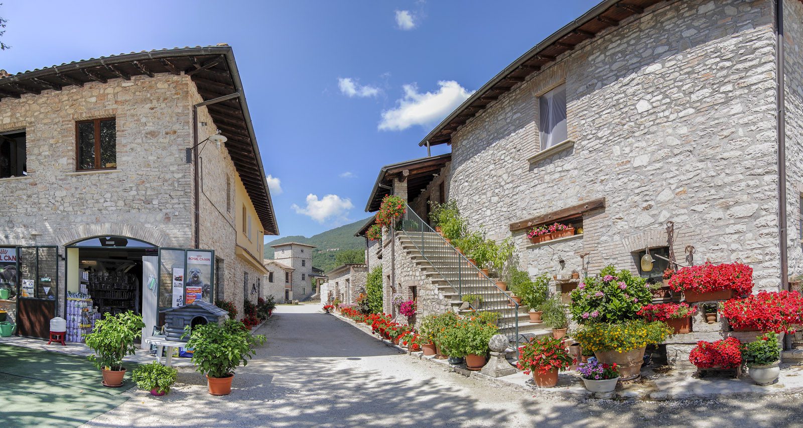 Pascalizi_srl_Panoramica_senza titolo15