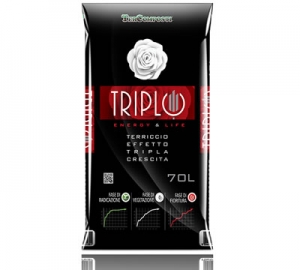 Triplo