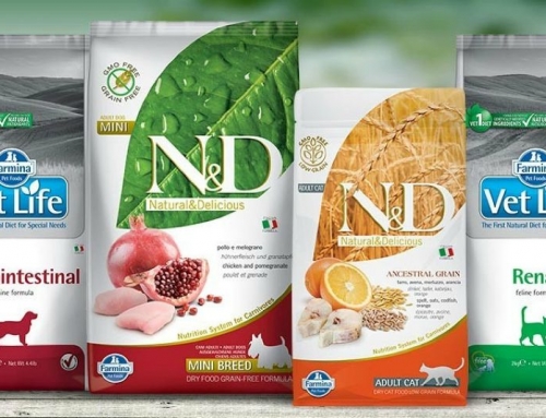 SABATO 15 GIUGNO – GIORNATA PROMOZIONALE FARMINA